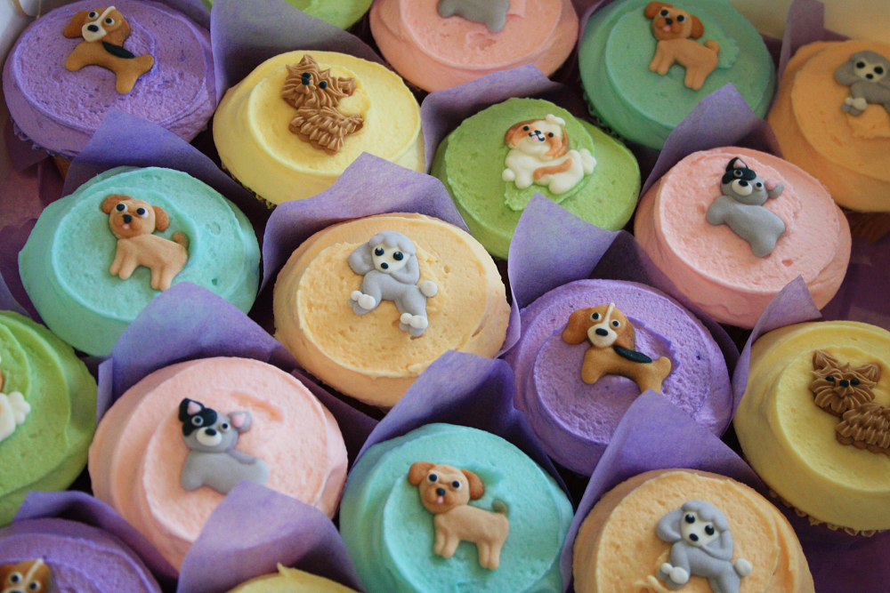 Puppy cupcakes decorating hot sale