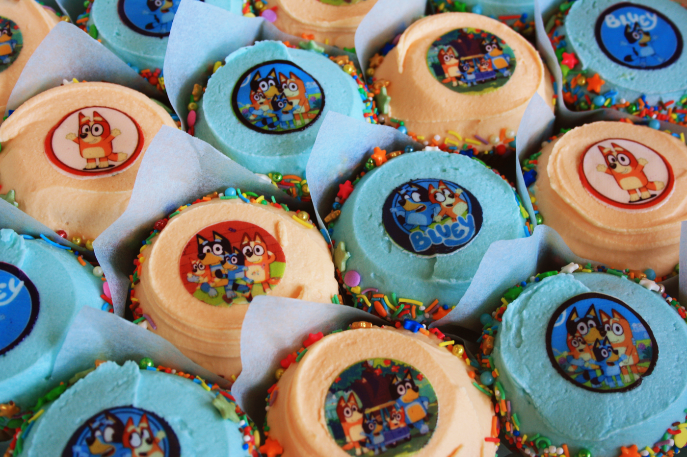 Bluey Cupcakes, My Little Cupcake Sydney