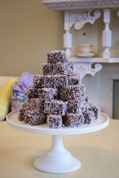 Lamingtons - Mini Chocolate – My Little Cupcake